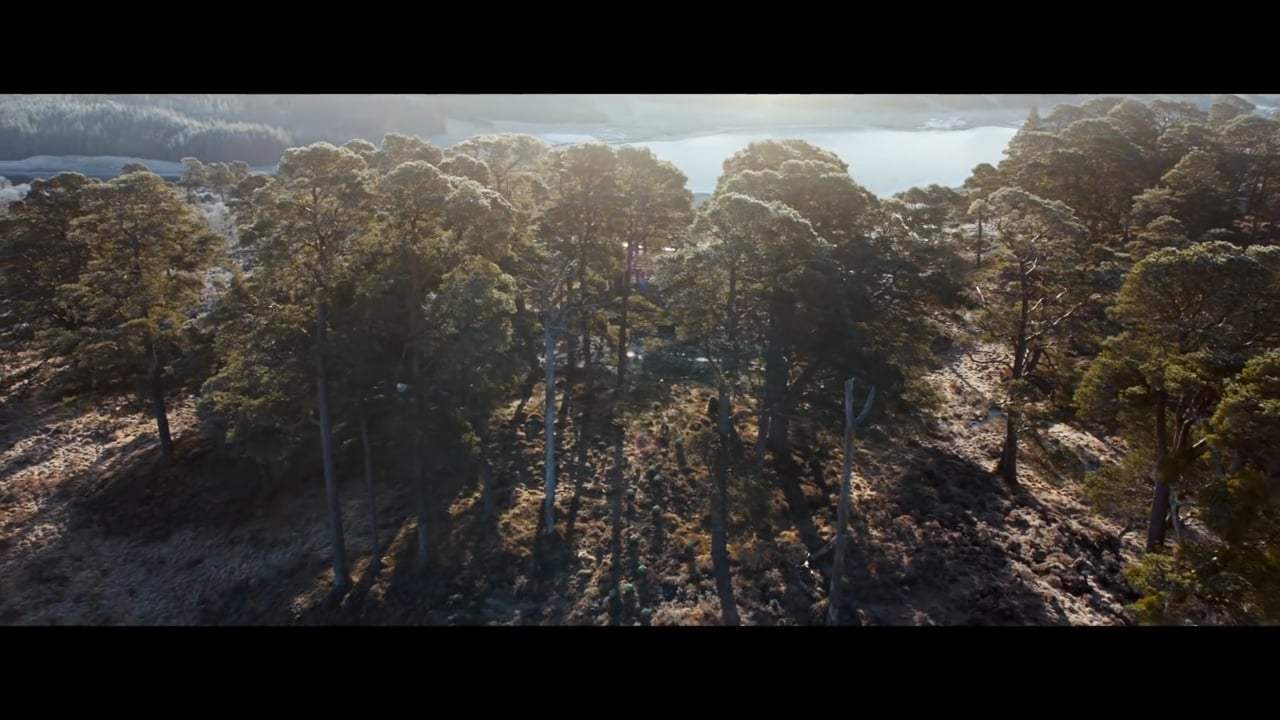 Pokémon Detective Pikachu What a Pikachu World Trailer (2019) Screen Capture #1
