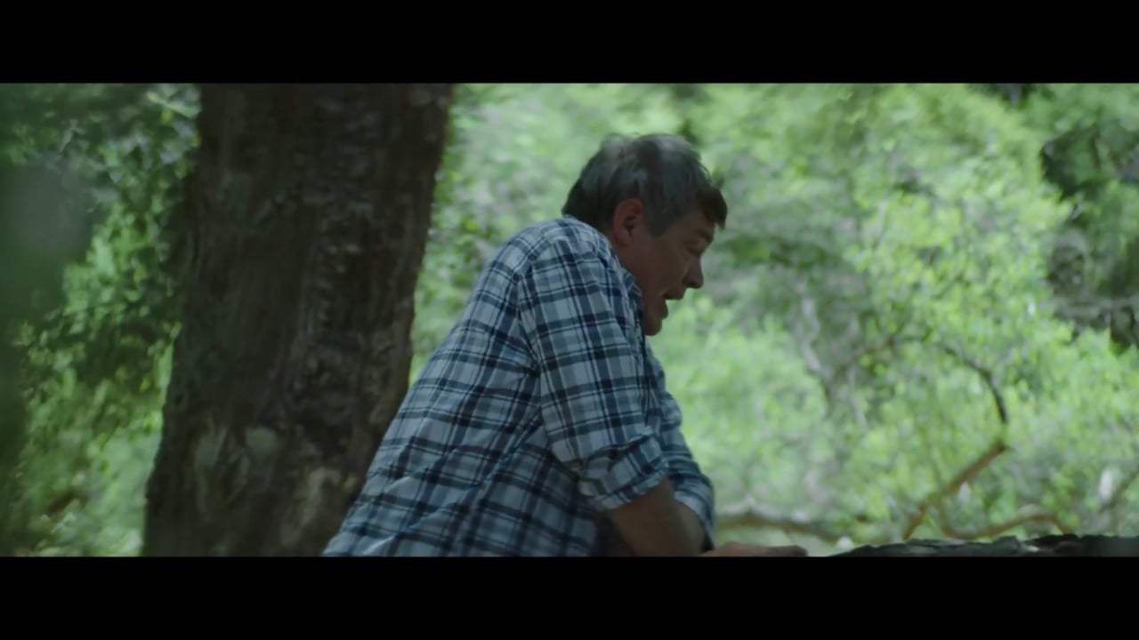 Funny Story Trailer (2019) Screen Capture #3