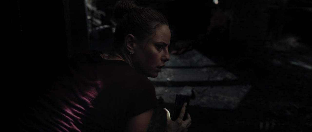 Crawl Trailer (2019) Screen Capture #2