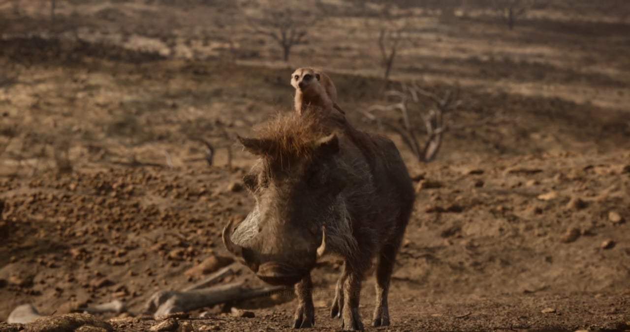 The Lion King TV Spot - Nala (2019) Screen Capture #4