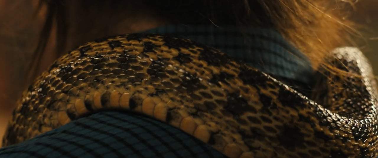 Them That Follow Trailer (2019) Screen Capture #4
