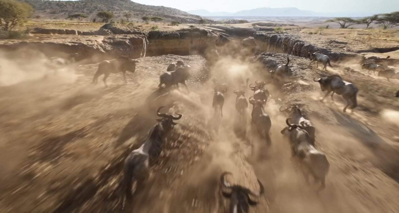 The Lion King TV Spot - Can You Feel the Love Tonight (2019) Screen Capture #3