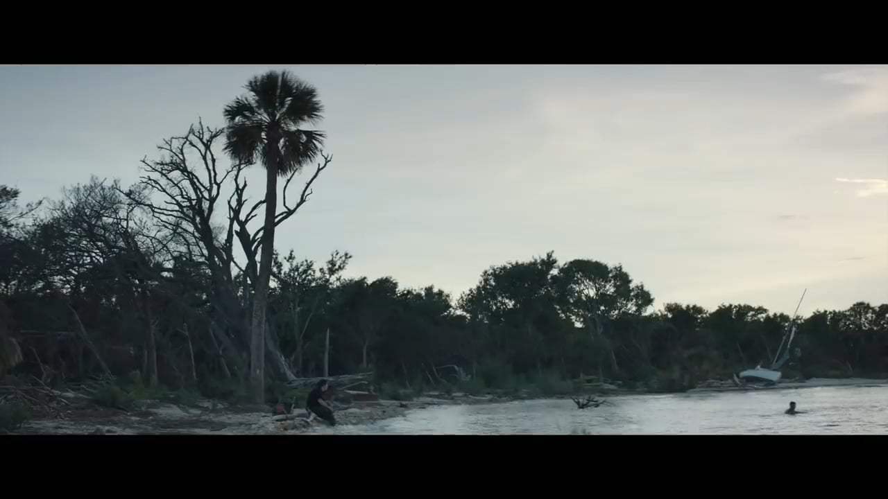 The Peanut Butter Falcon Trailer (2019) Screen Capture #1