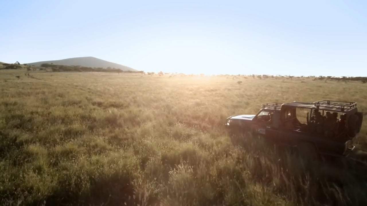 The Lion King Featurette - Protect the Pride (2019) Screen Capture #2