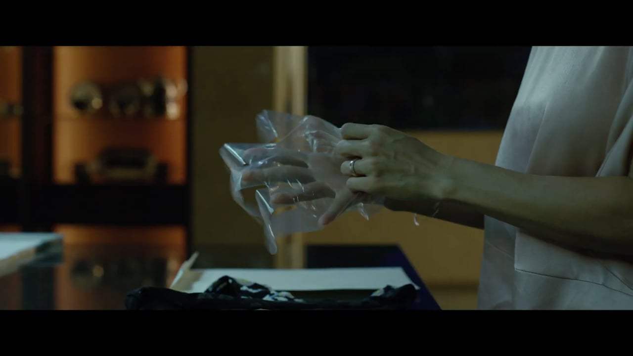Parasite Trailer (2019) Screen Capture #4