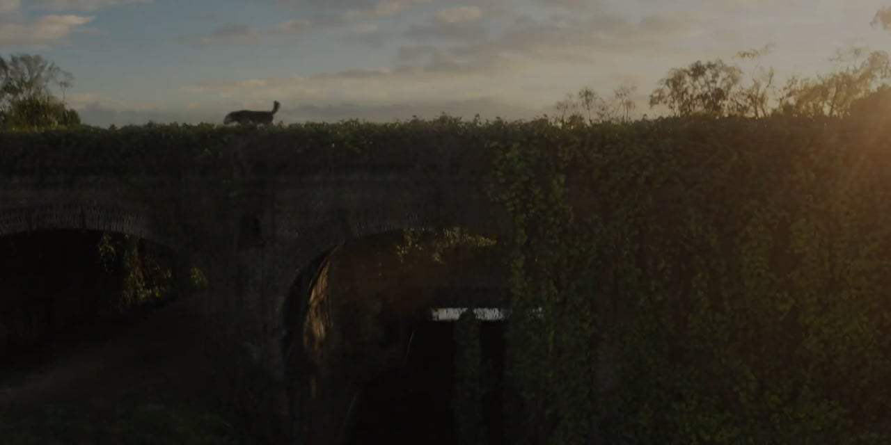 Lady and the Tramp Trailer (2019) Screen Capture #2