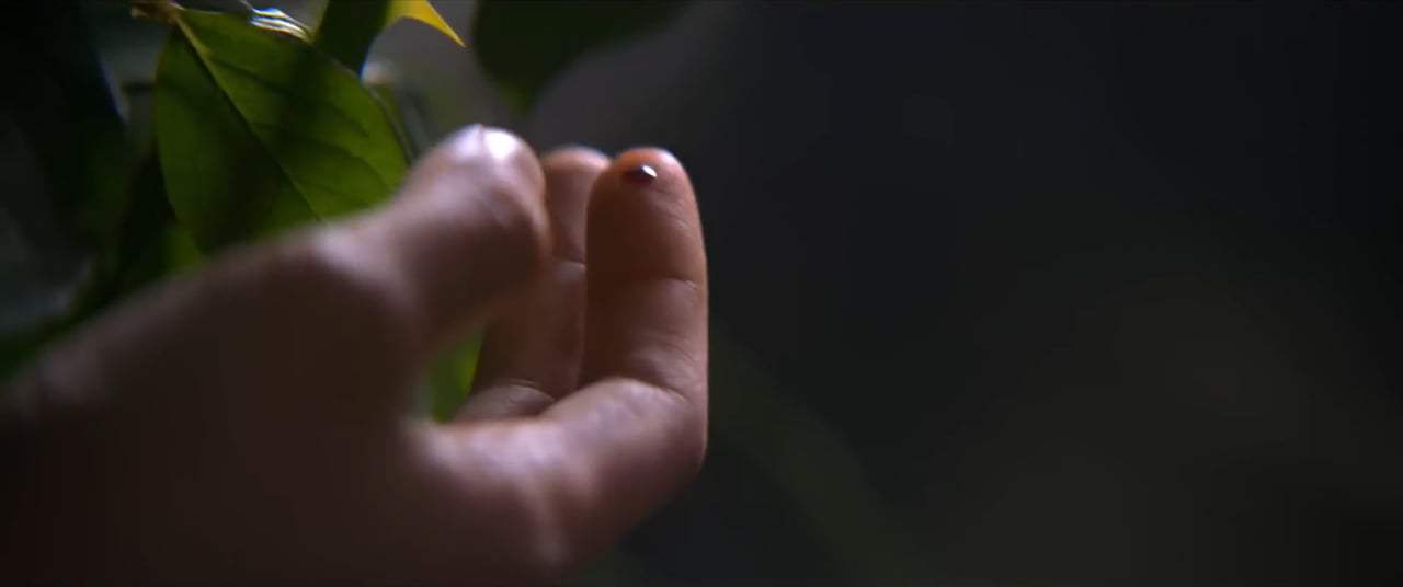 Earthquake Bird Trailer (2019) Screen Capture #3