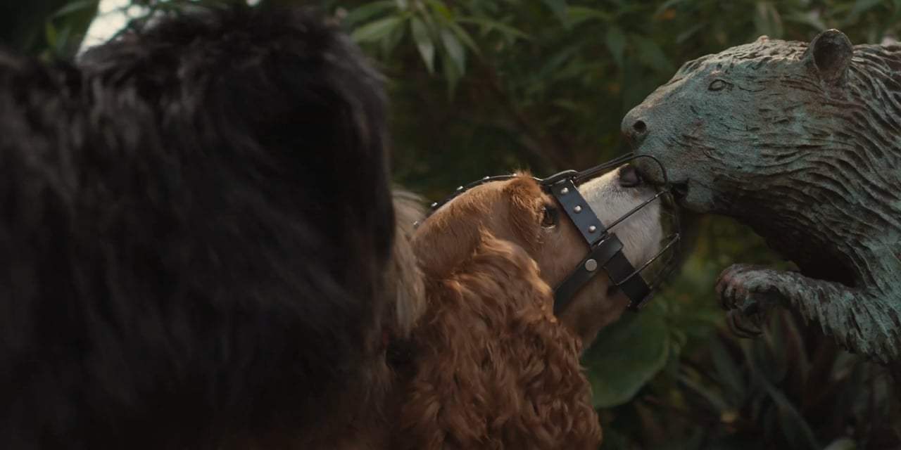 Lady and the Tramp Theatrical Trailer (2019) Screen Capture #3