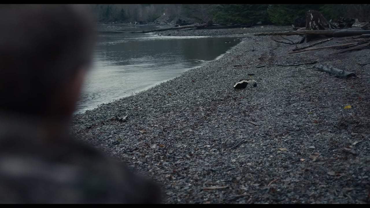 Antlers Theatrical Trailer (2019) Screen Capture #1