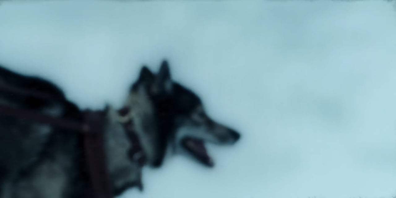 Togo Trailer (2019) Screen Capture #1