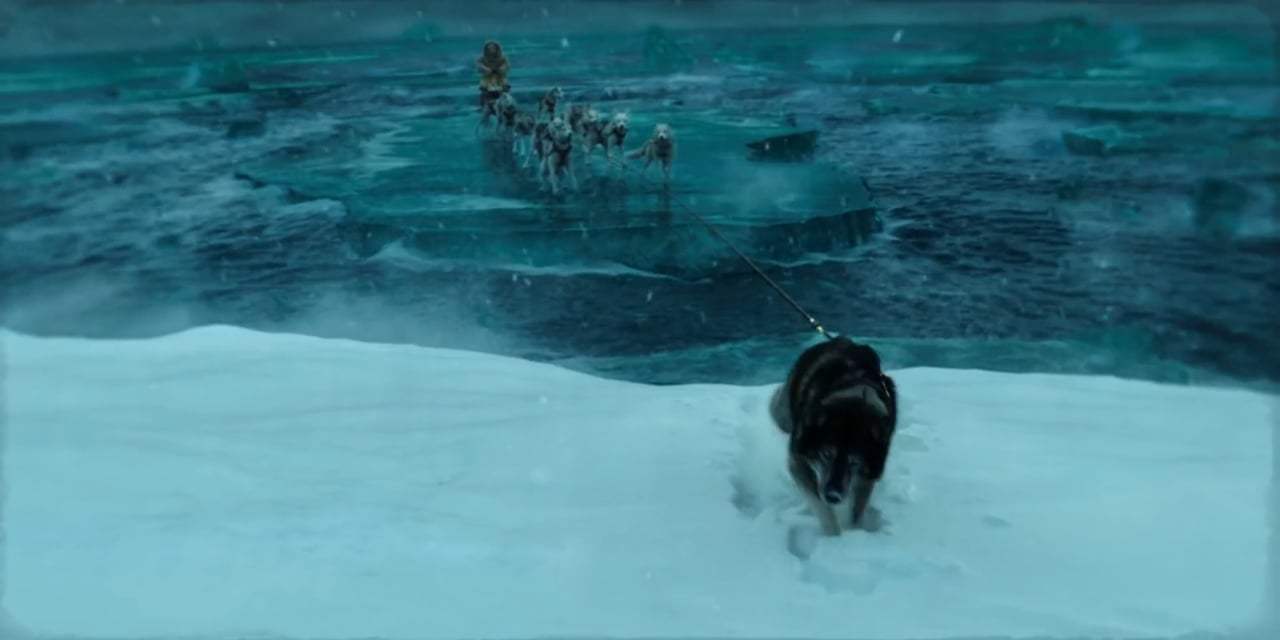 Togo Trailer (2019) Screen Capture #4