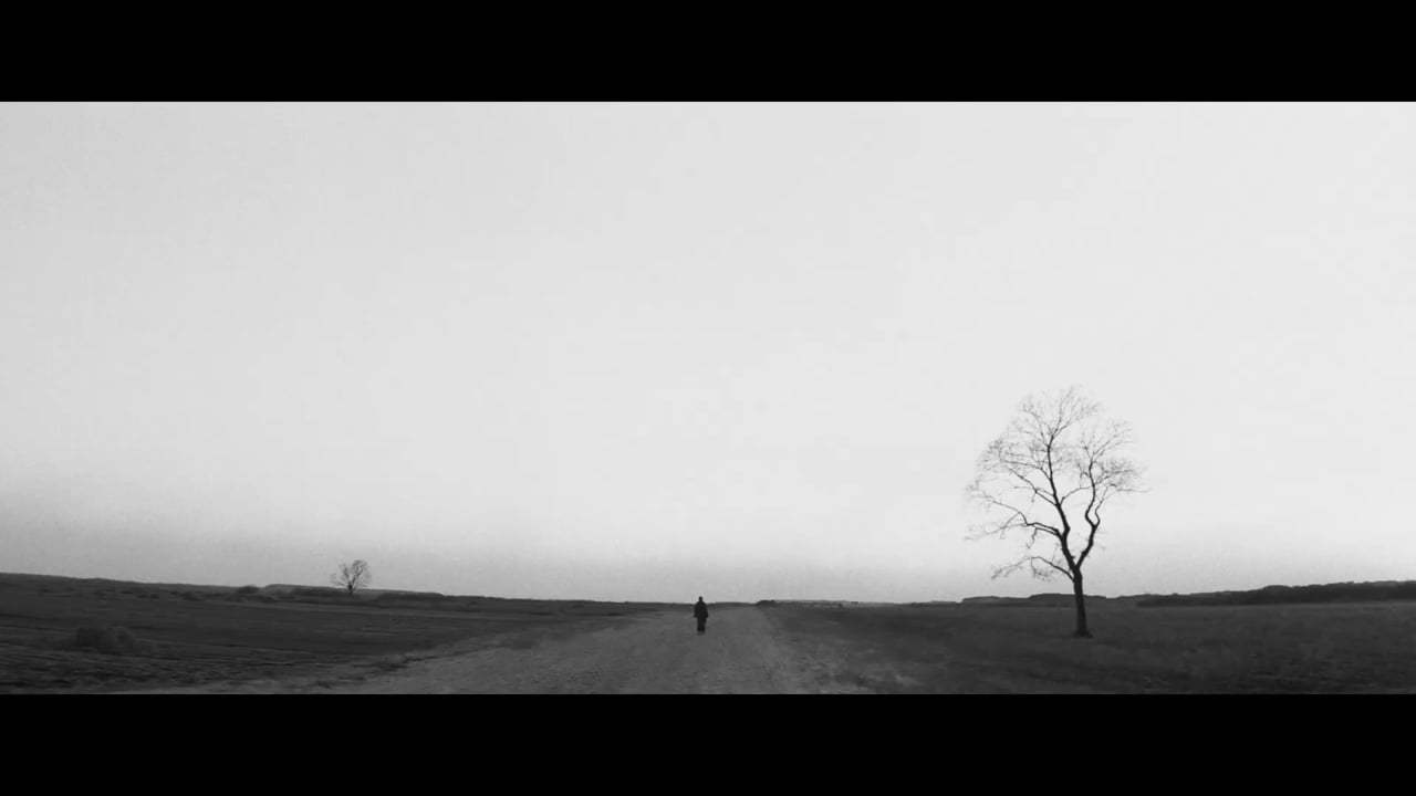 The Painted Bird Trailer (2020) Screen Capture #1