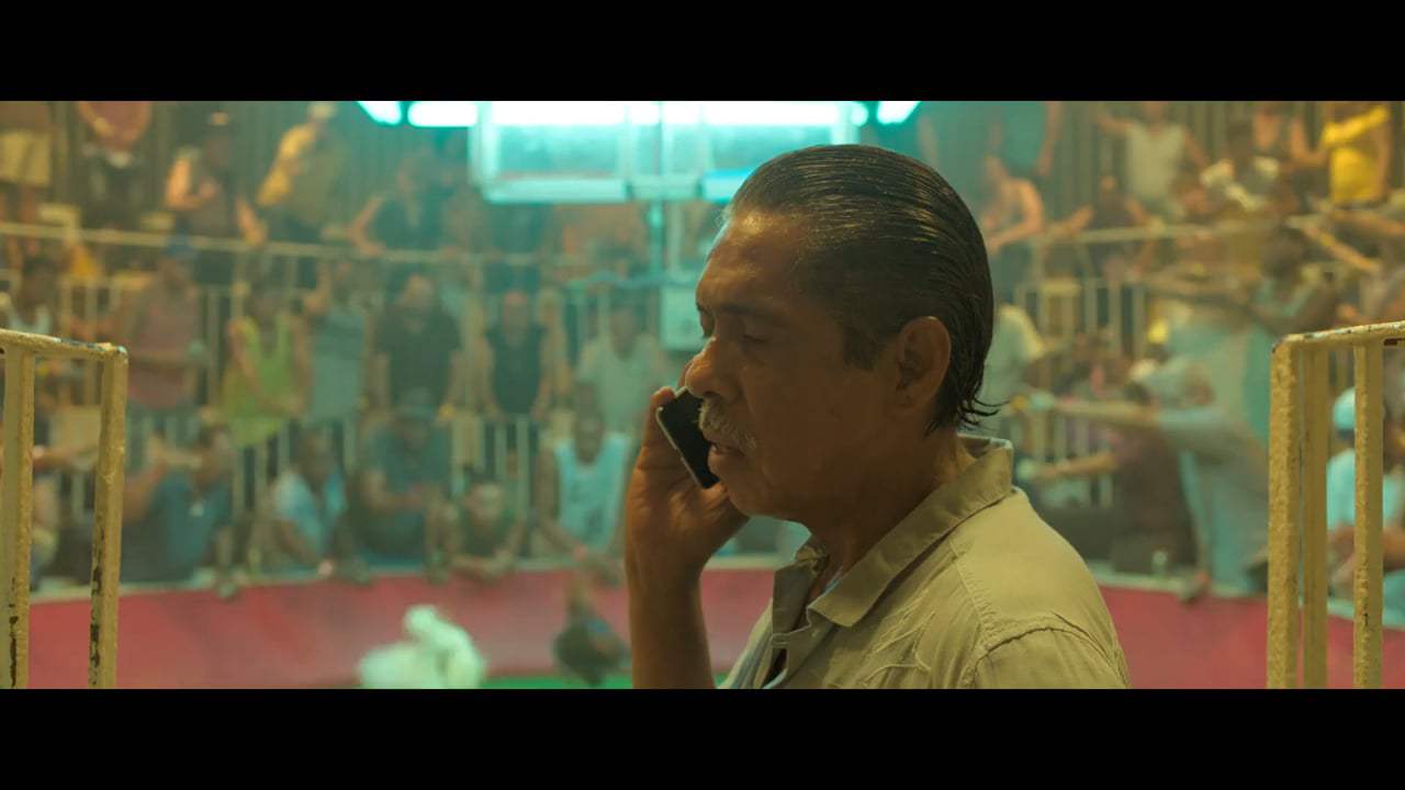 Ana Trailer (2020) Screen Capture #3