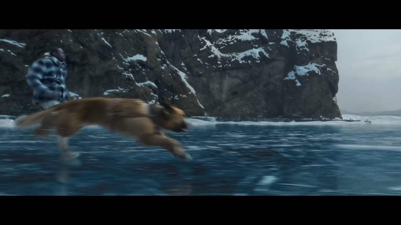 The Call of the Wild TV Spot - Destiny (2020) Screen Capture #1
