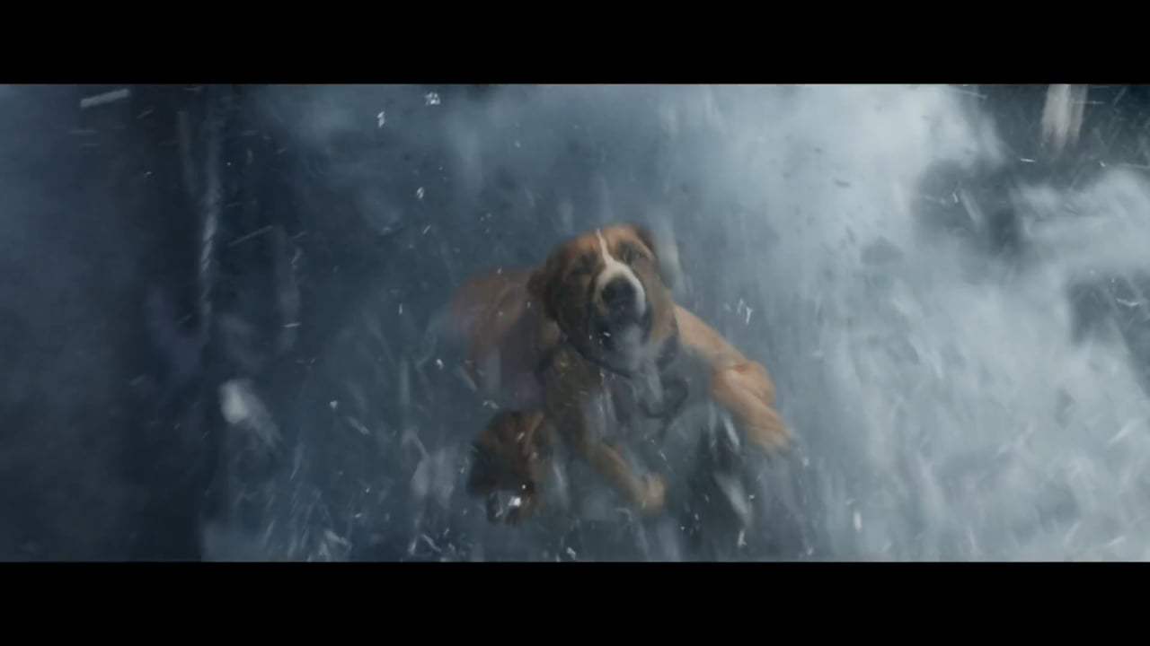 The Call of the Wild TV Spot - Gold (2020) Screen Capture #2