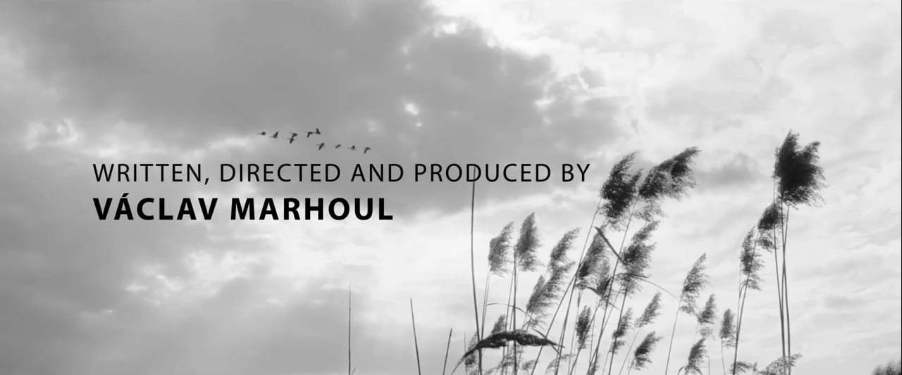 The Painted Bird Theatrical Trailer (2020) Screen Capture #3