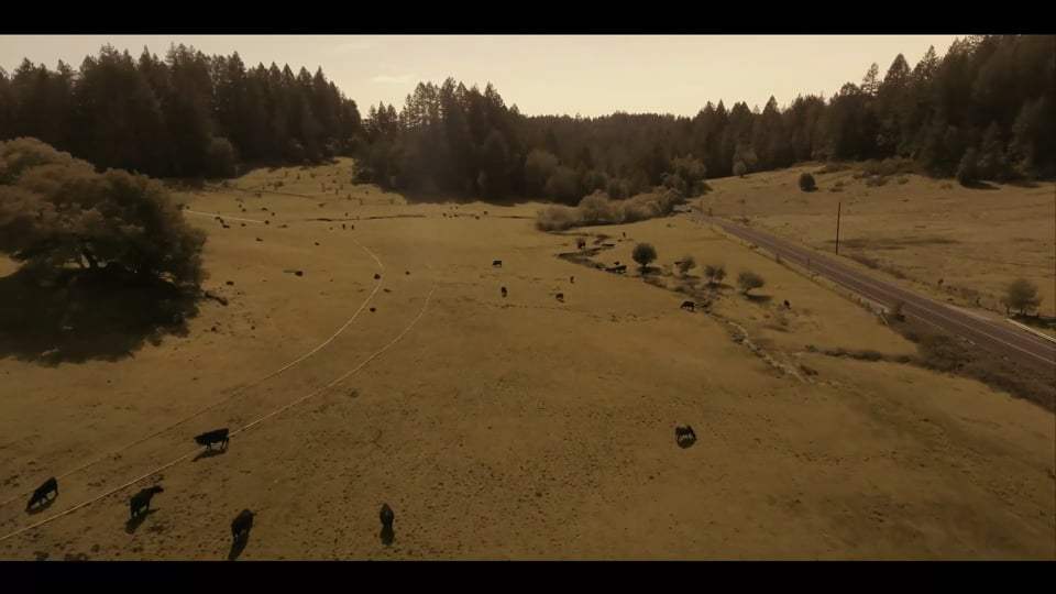Survive the Night Trailer (2020) Screen Capture #1