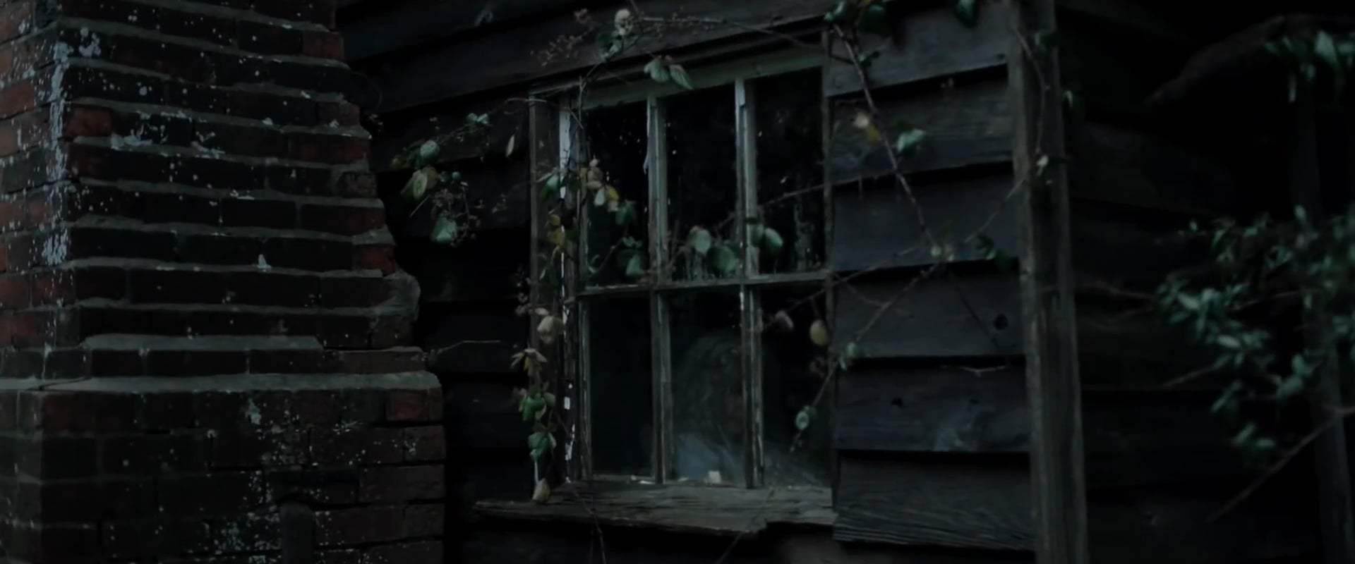 Relic Teaser Trailer (2020) Screen Capture #4
