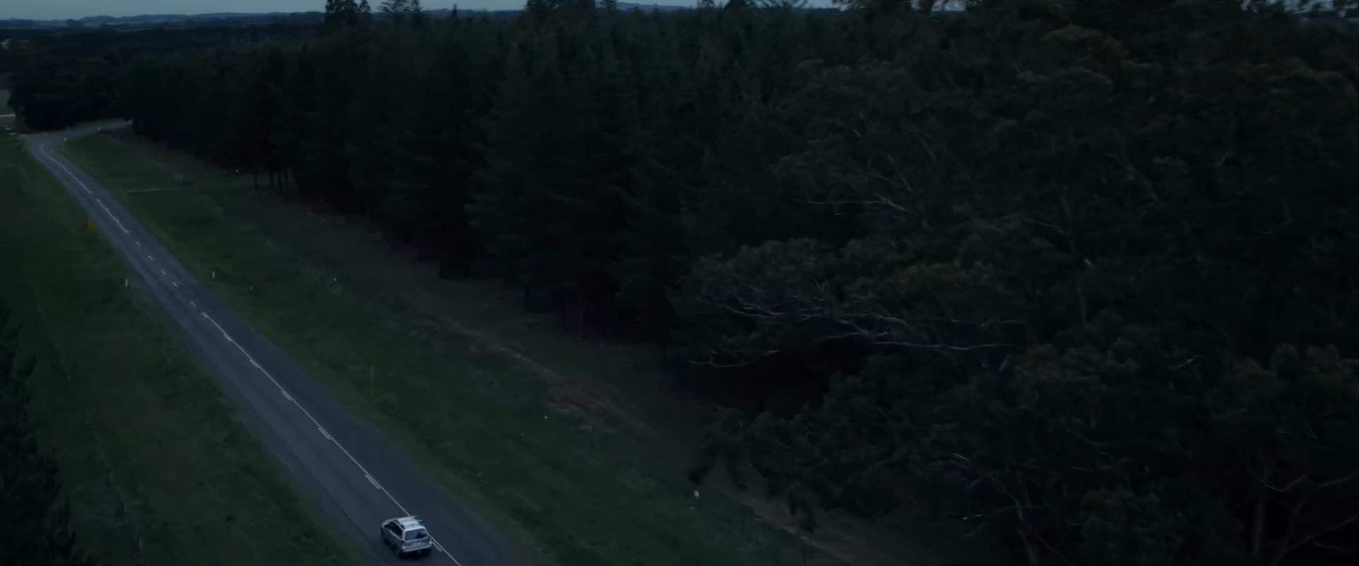Relic Trailer (2020) Screen Capture #1