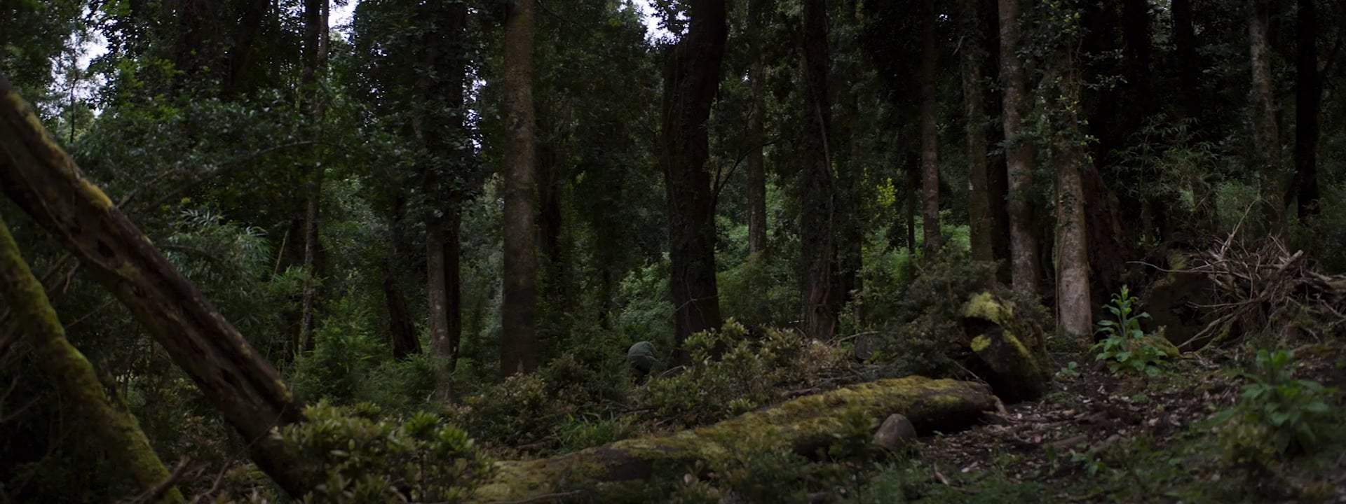 Nobody Knows I'm Here Trailer (2020) Screen Capture #4