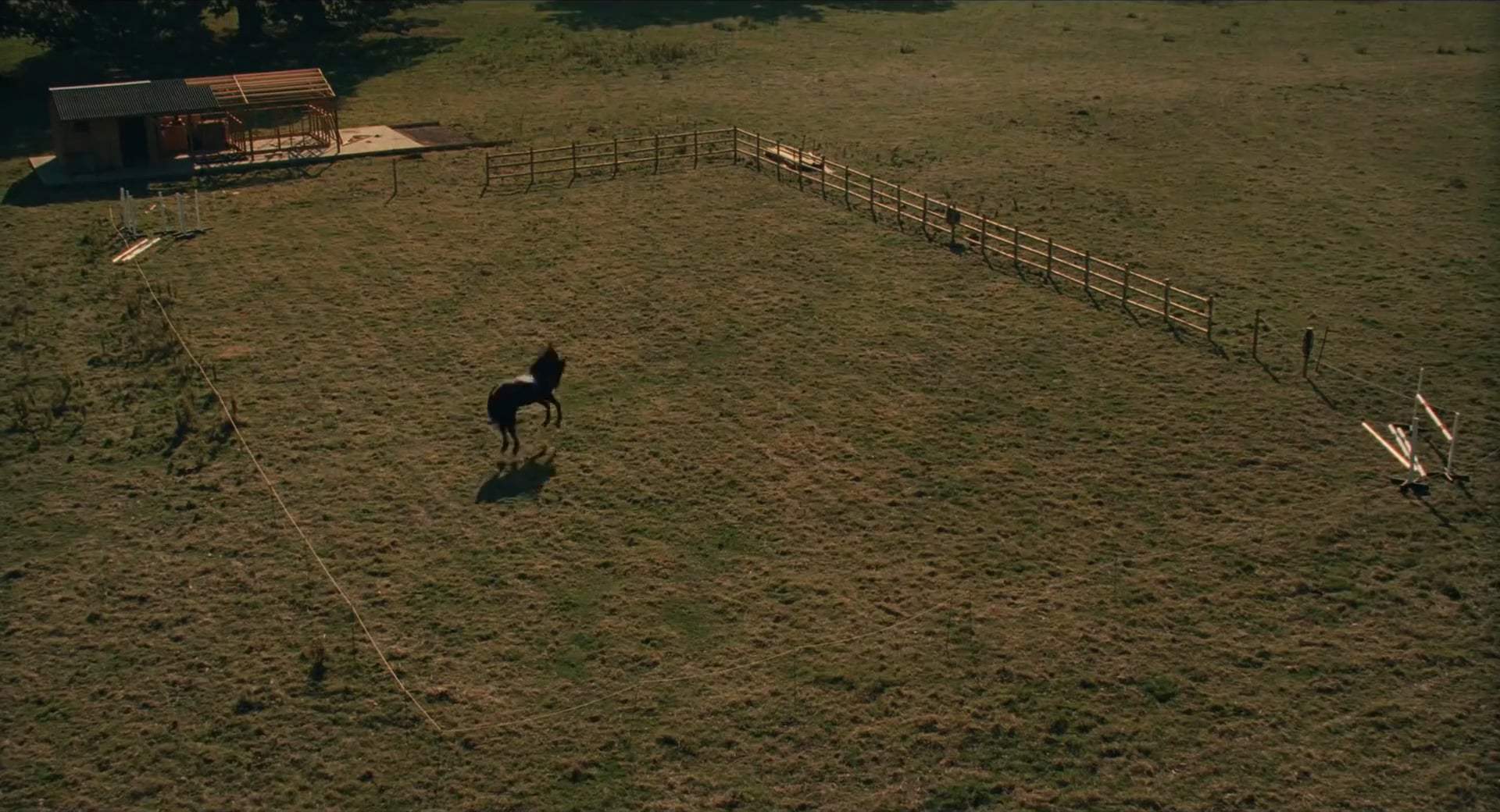 The Nest Trailer (2020) Screen Capture #3