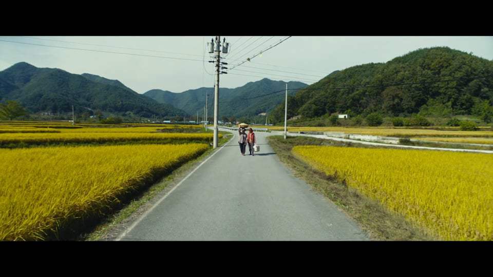 Zombie for Sale Trailer (2020) Screen Capture #1