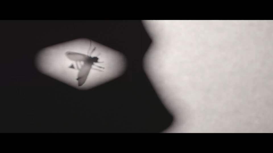 Candyman TV Spot - A Story Like That (2021) Screen Capture #2