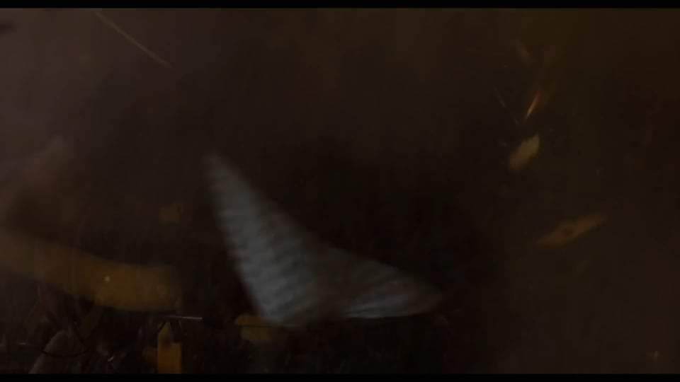 The Tax Collector Trailer (2020) Screen Capture #3