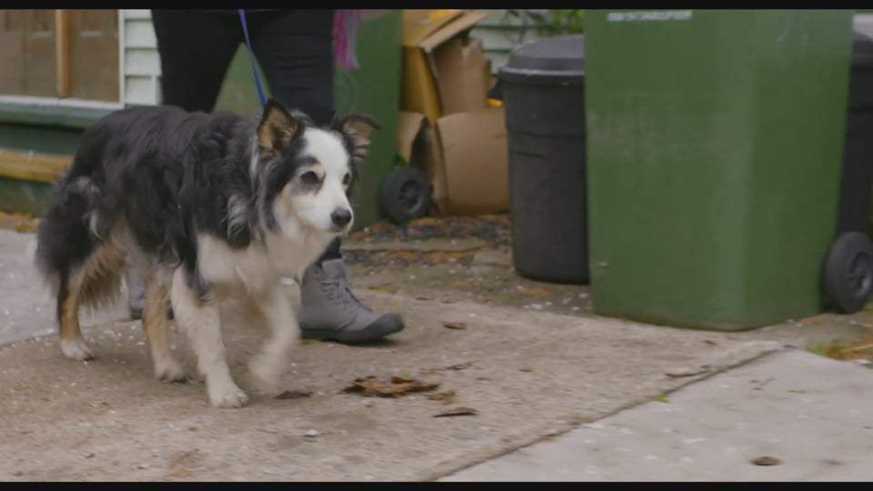 Spinster Trailer (2020) Screen Capture #3