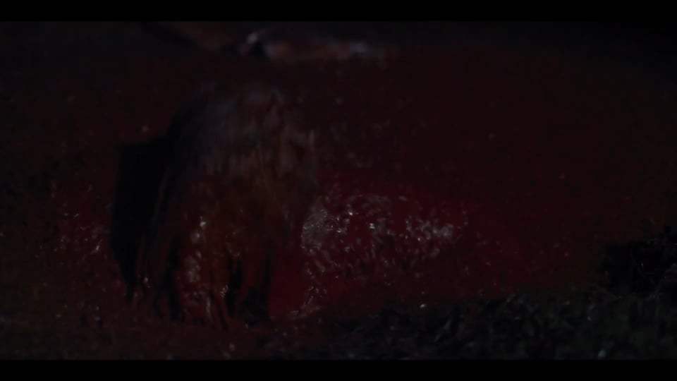 The Pale Door Trailer (2020) Screen Capture #4