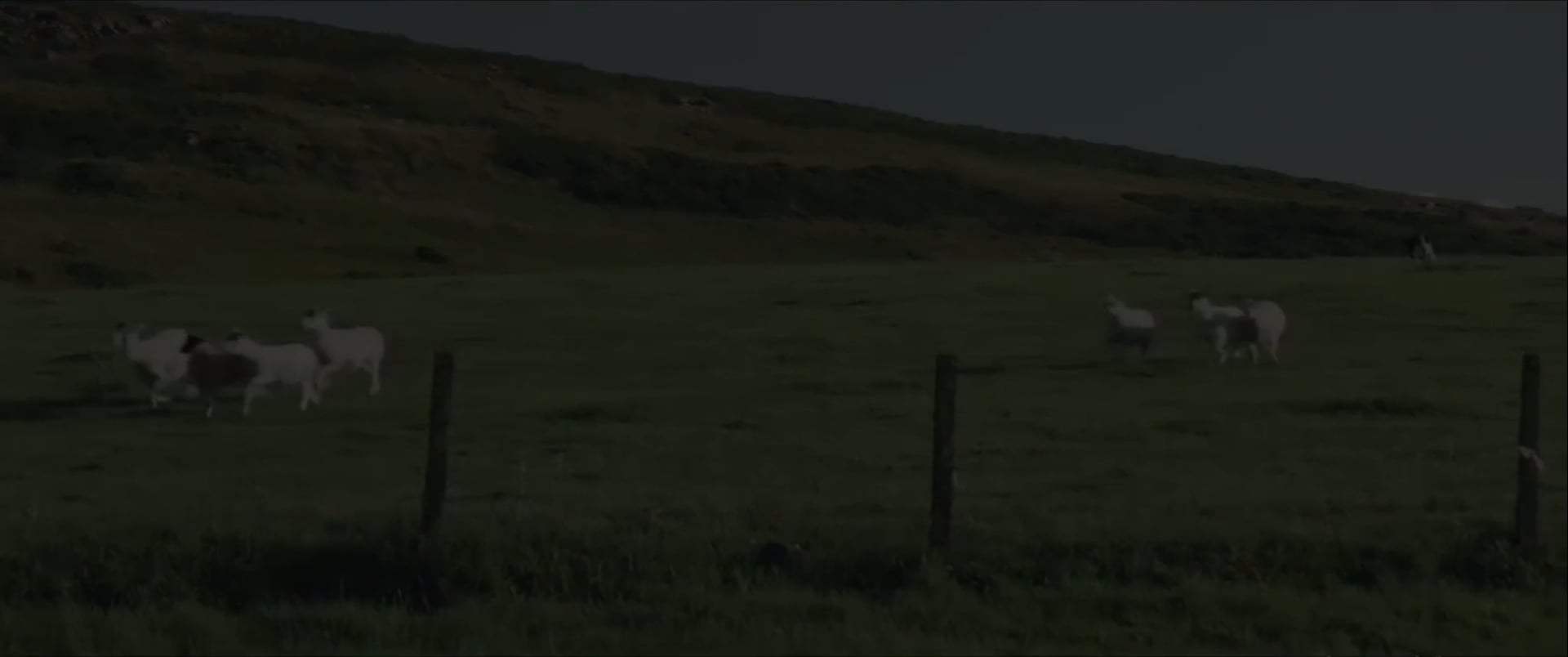 Get Duked! Red Band Trailer (2020) Screen Capture #1