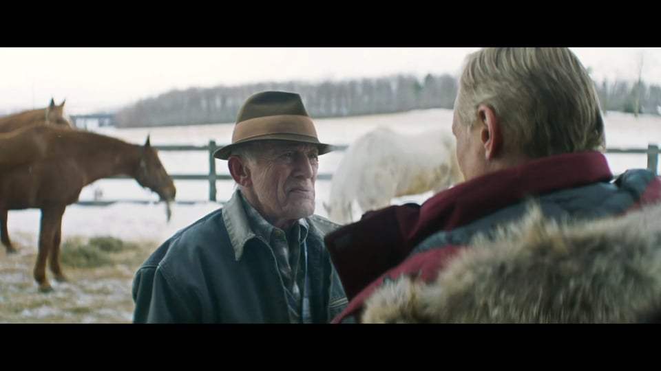 Falling International Trailer (2020) Screen Capture #3