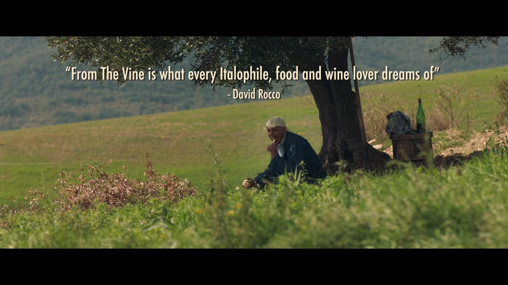 From the Vine Trailer (2020) Screen Capture #3