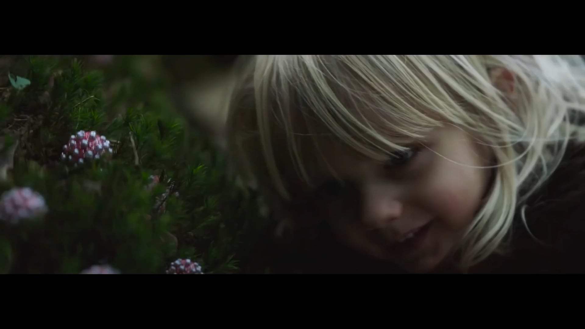 The Place of No Words Trailer (2020) Screen Capture #2