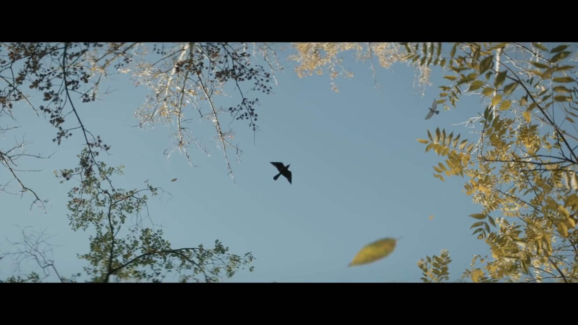 The Craft: Legacy Trailer (2020) Screen Capture #3