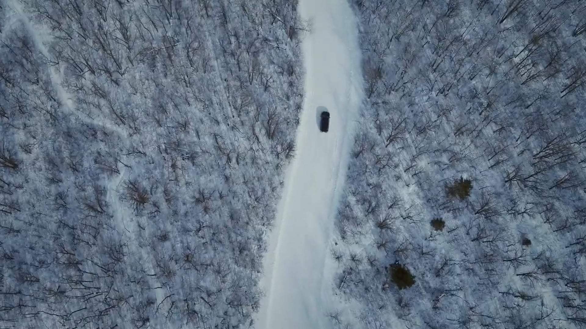 Toys of Terror Trailer (2020) Screen Capture #1