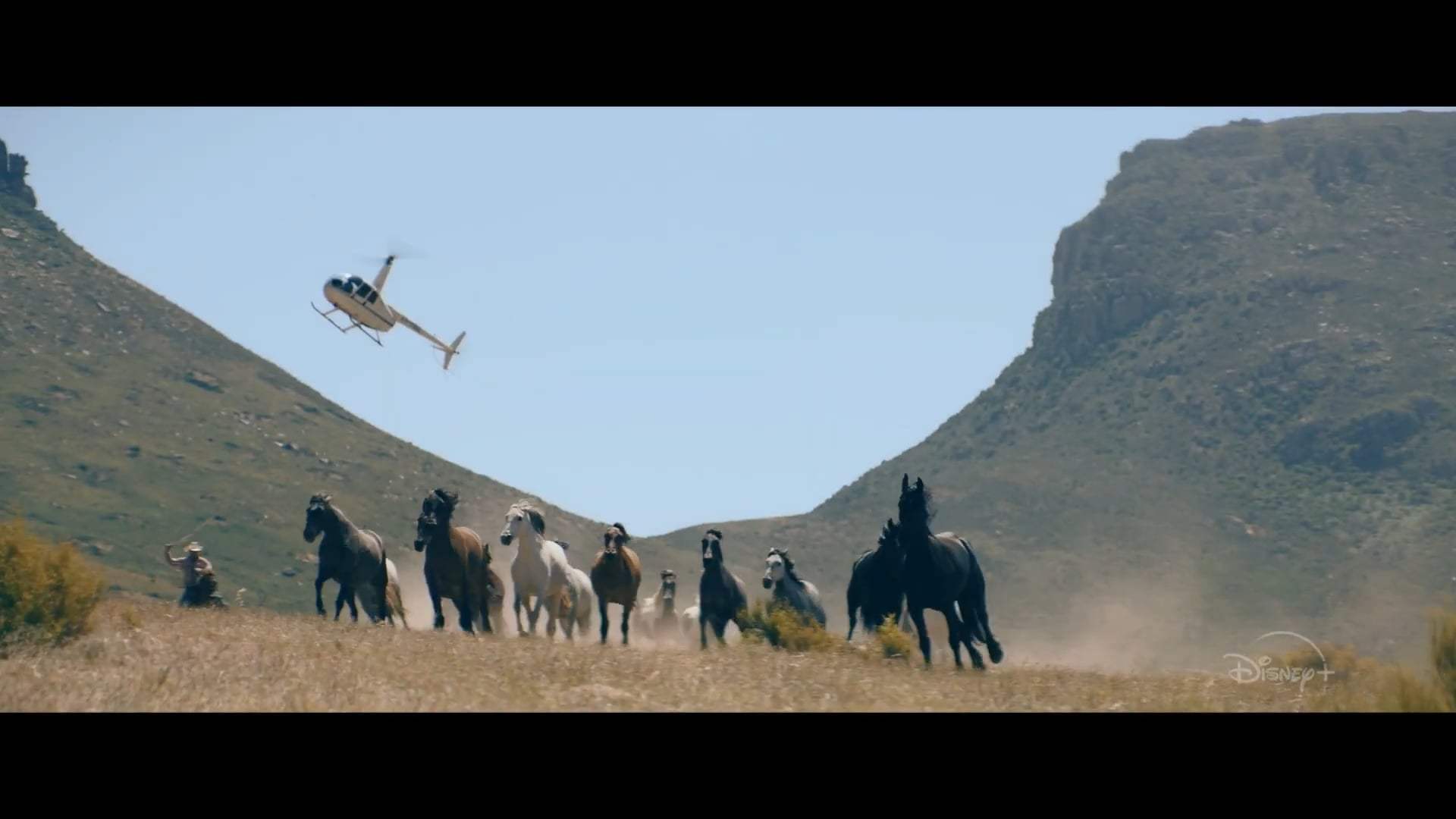 Black Beauty Trailer (2020) Screen Capture #1