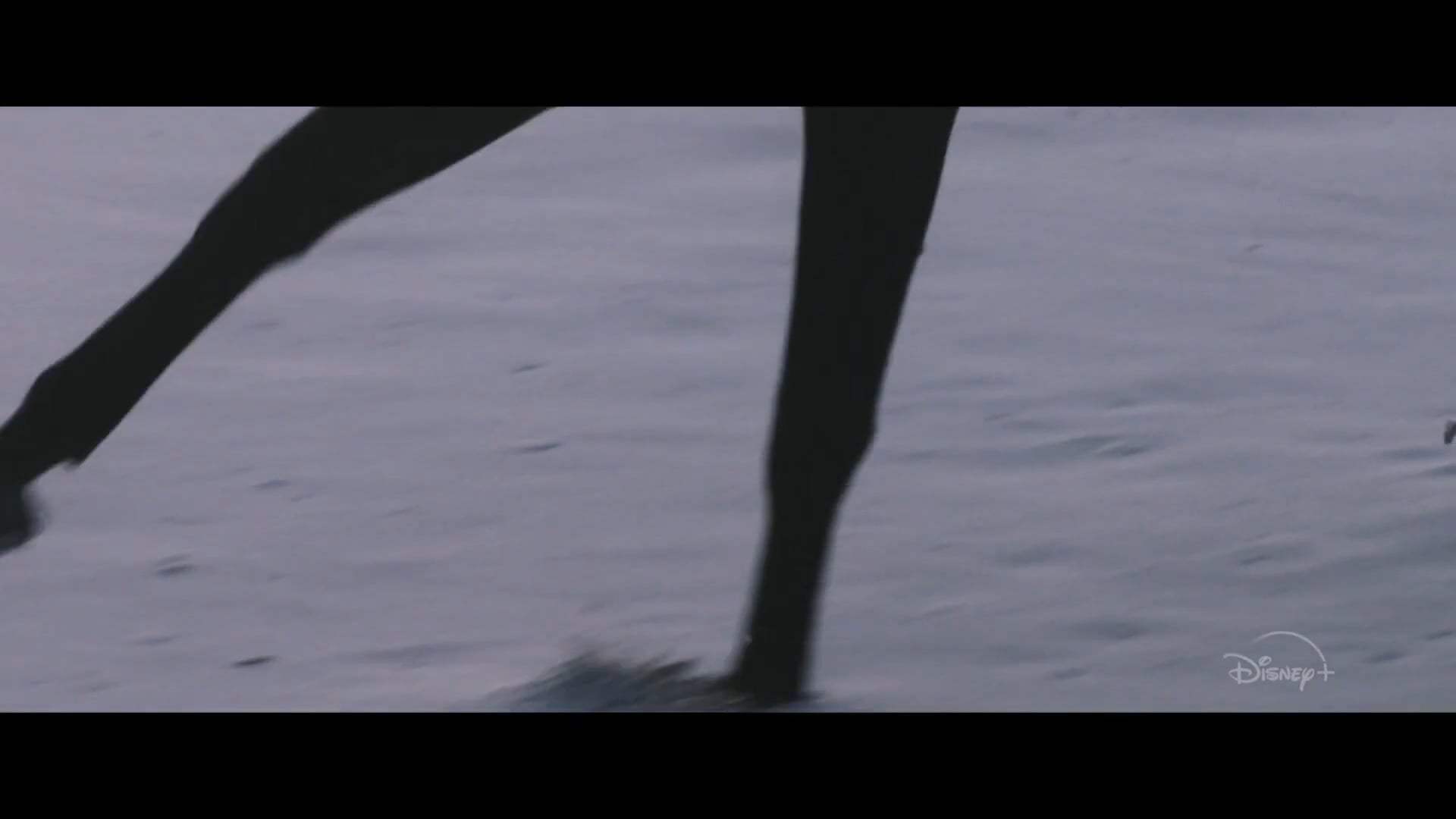 Black Beauty Trailer (2020) Screen Capture #4