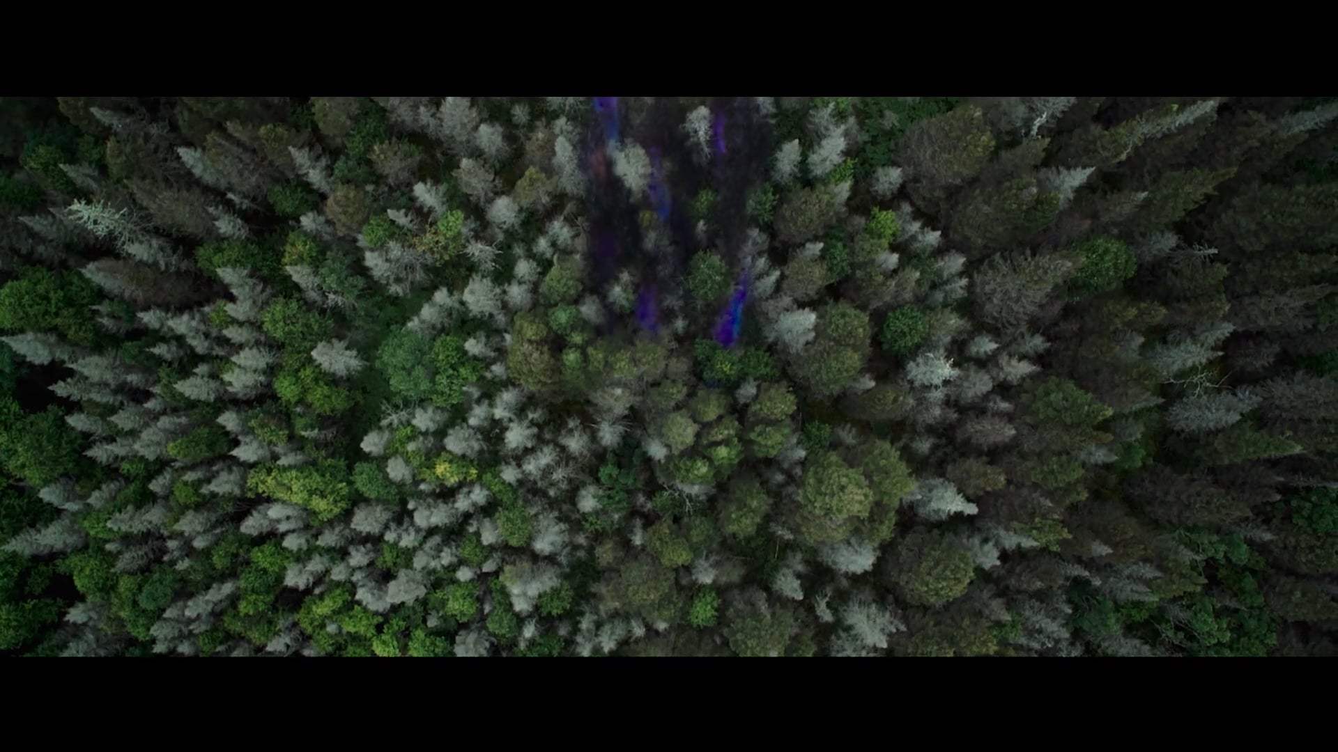 Chaos Walking Trailer (2021) Screen Capture #1