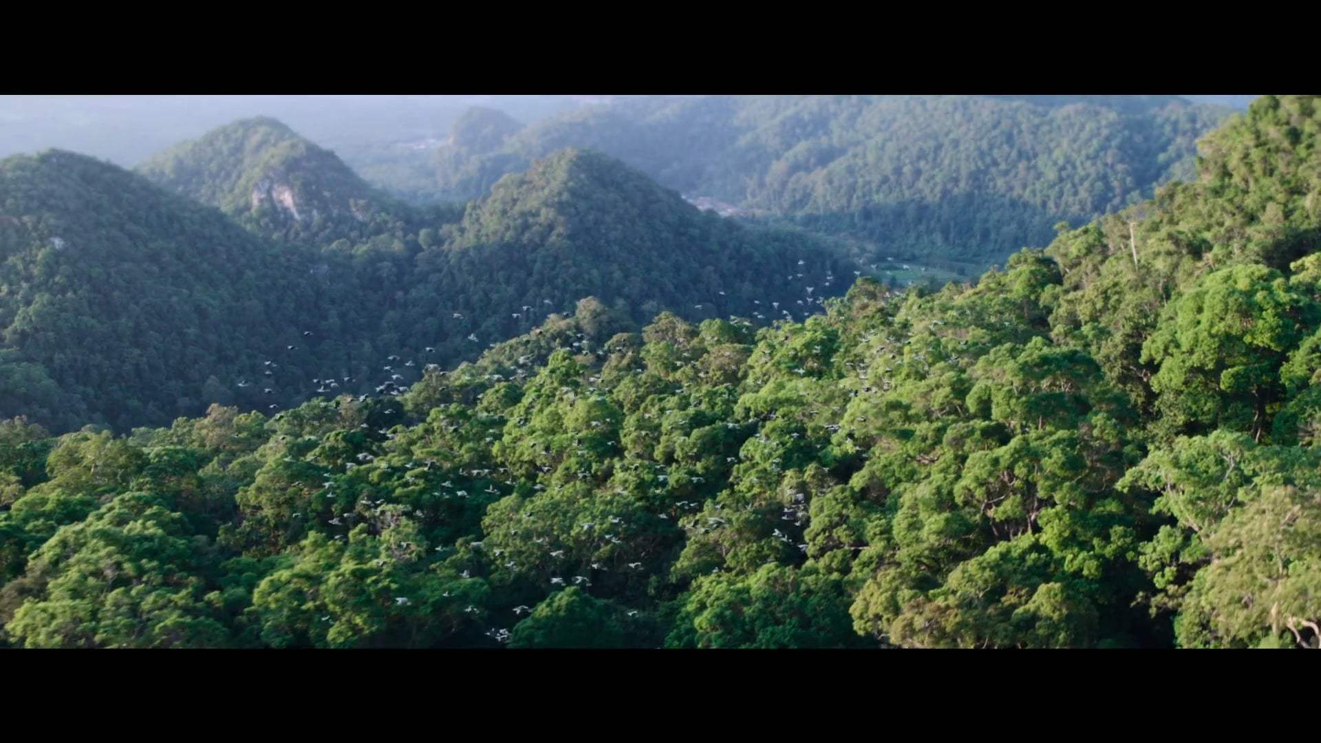 Skyfire Trailer (2019) Screen Capture #1