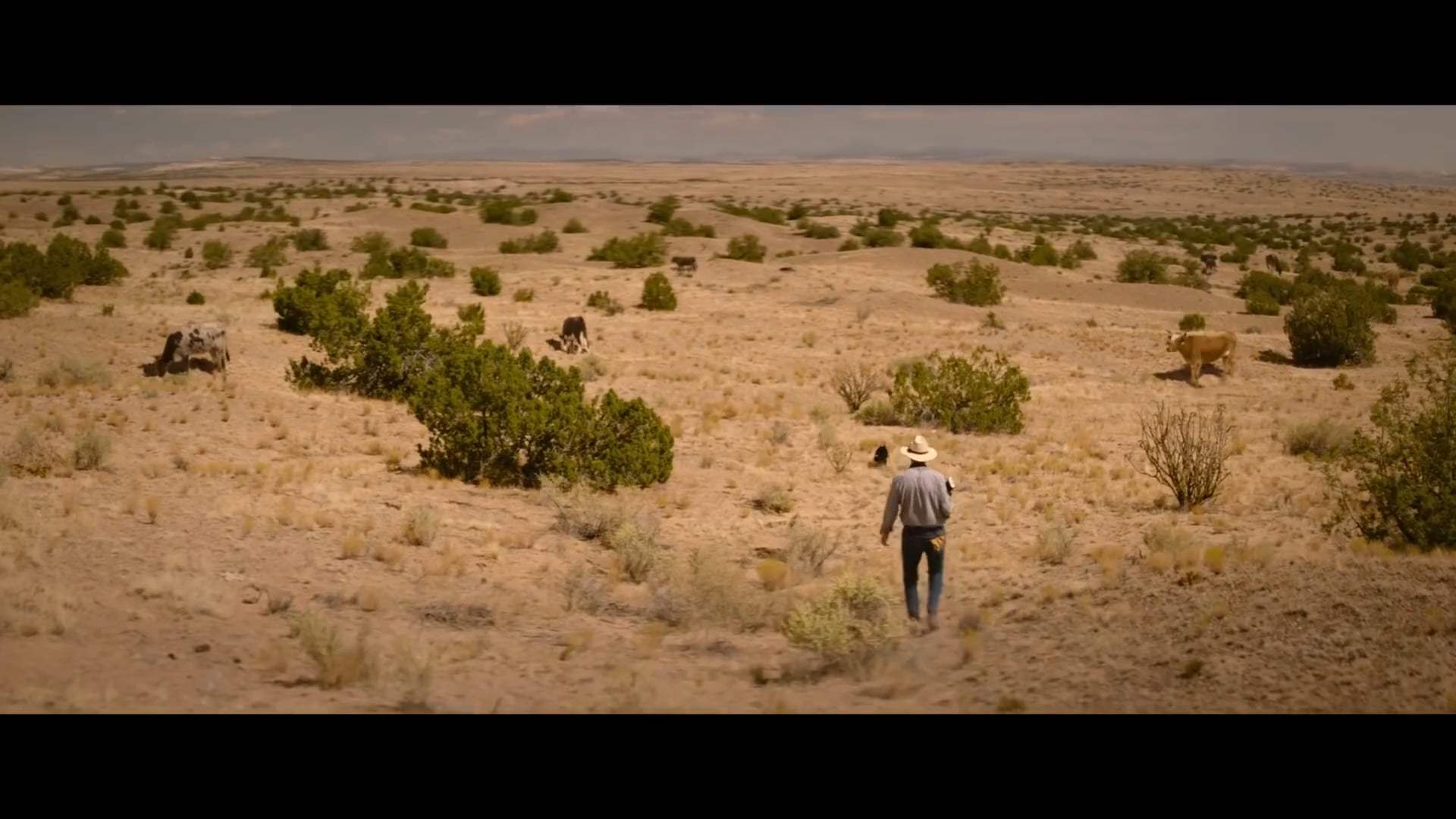 The Marksman Trailer (2021) Screen Capture #1