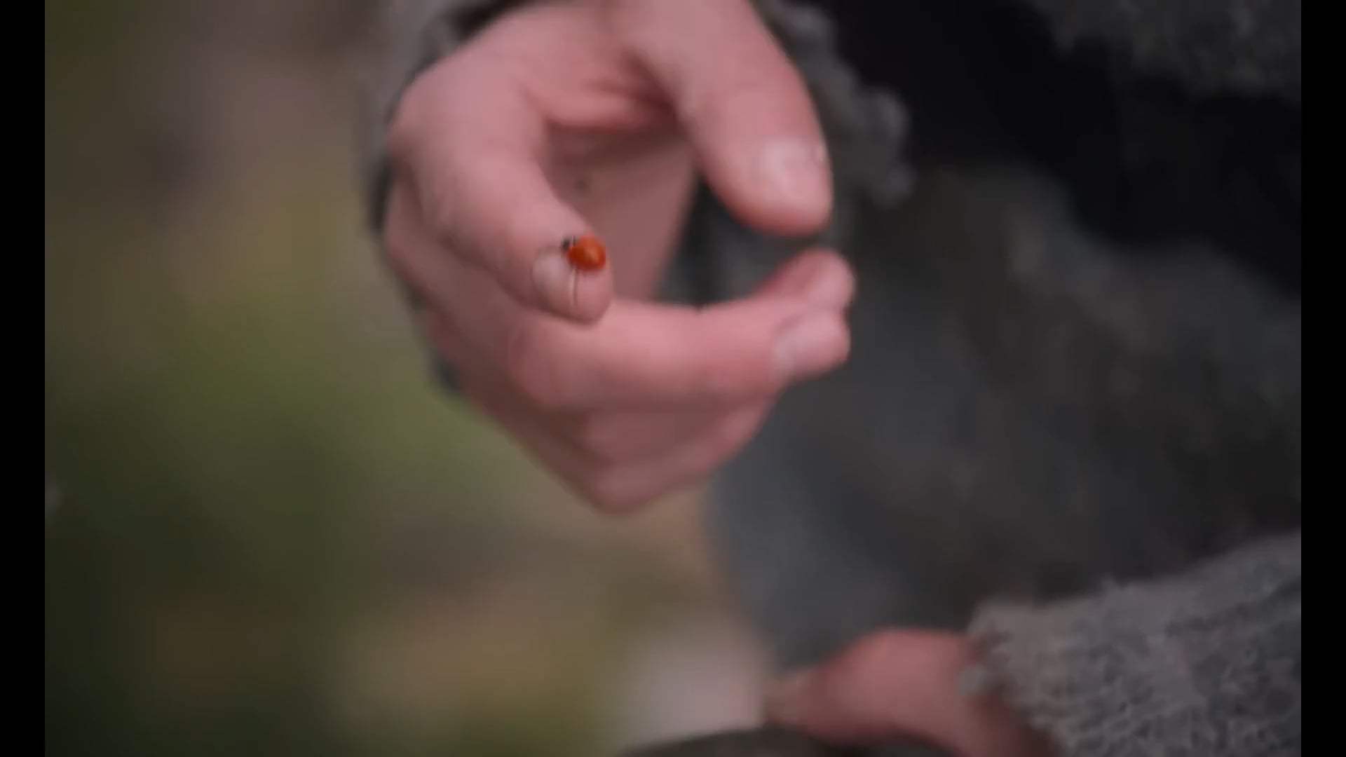 Land Trailer (2021) Screen Capture #4
