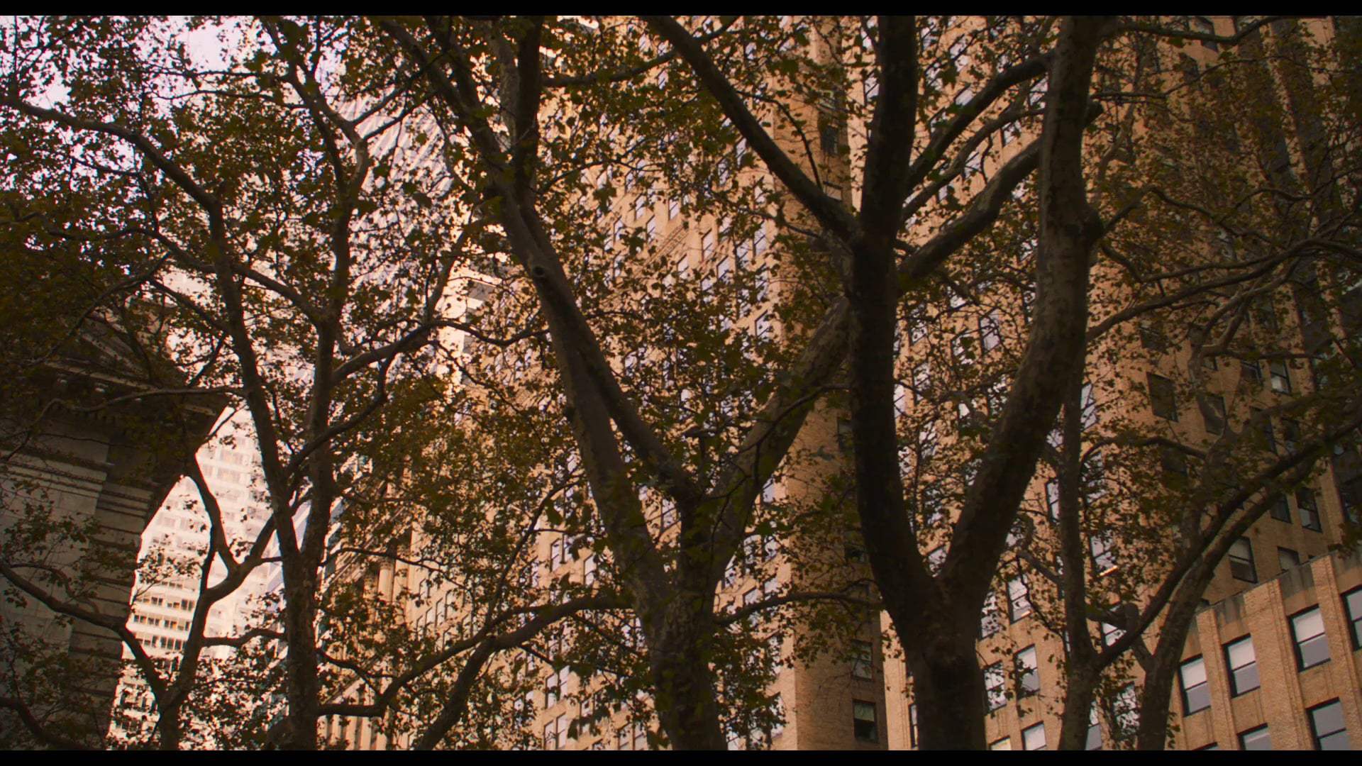 My Salinger Year Trailer (2021) Screen Capture #3