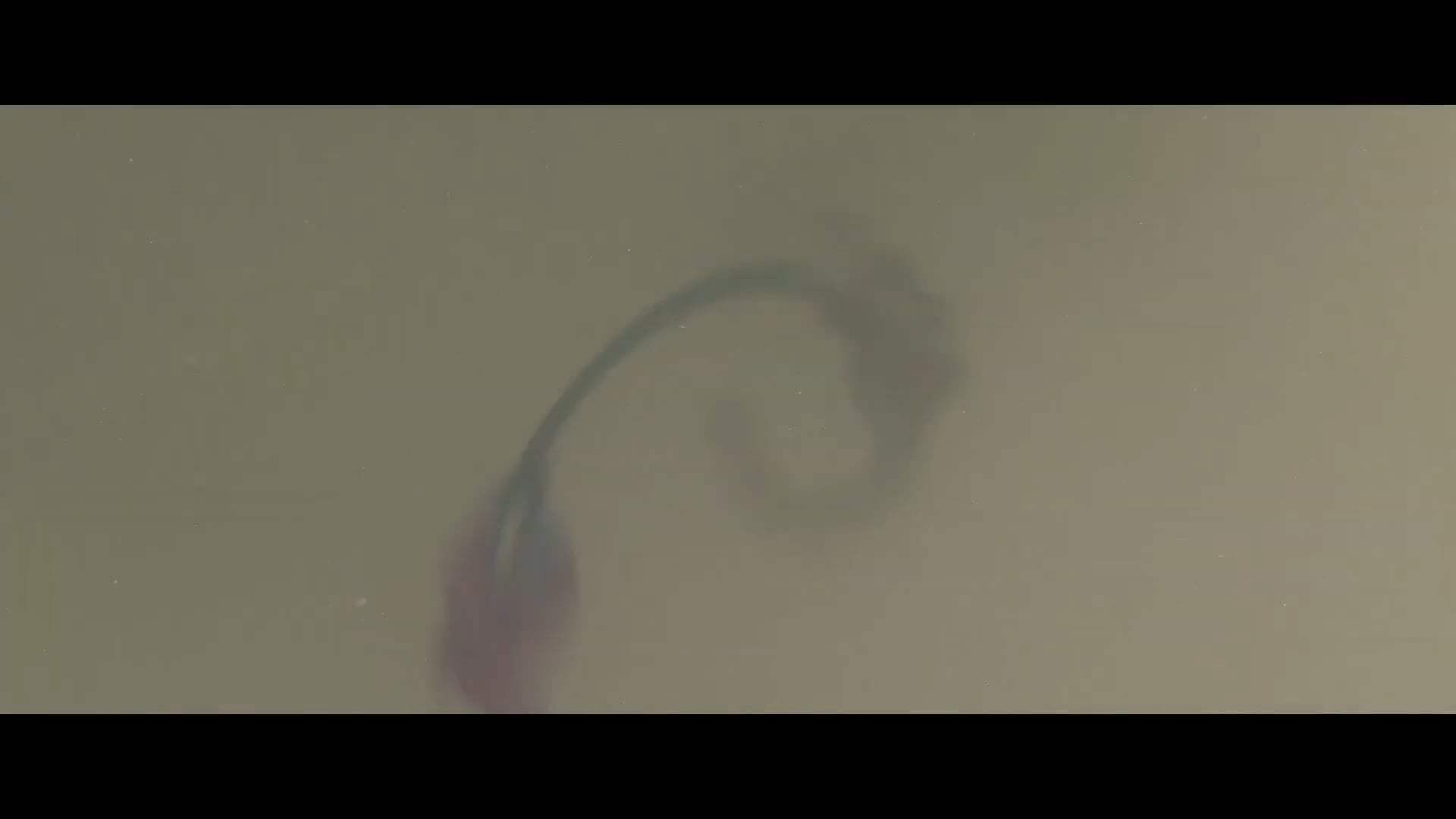 Raya and the Last Dragon Featurette - Crafting Raya (2021) Screen Capture #1