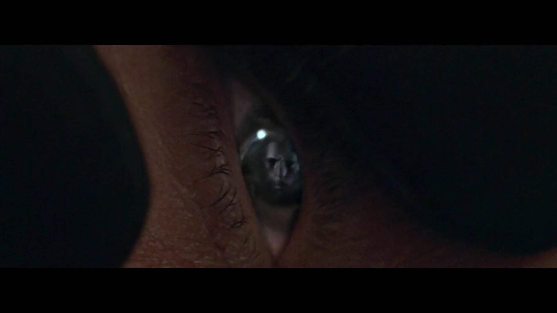 Held Trailer (2021) Screen Capture #3