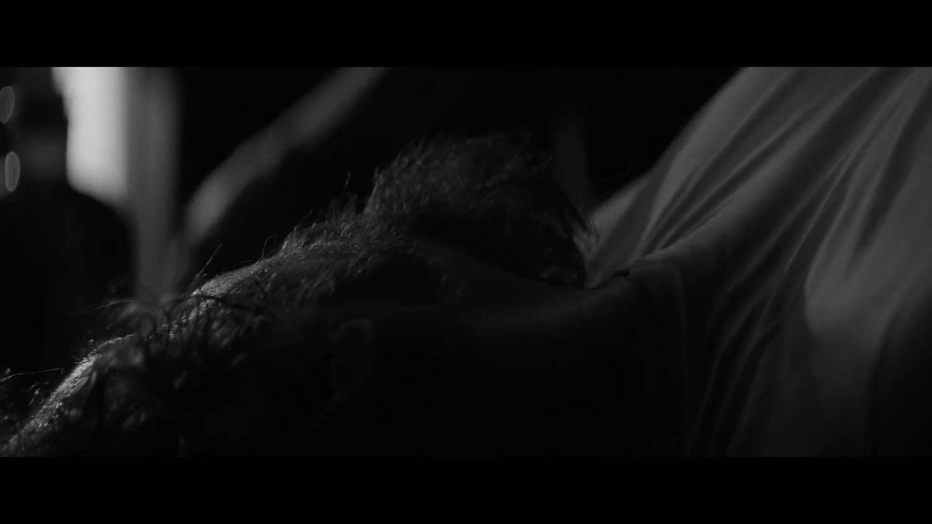 Trigger Point Trailer (2021) Screen Capture #1