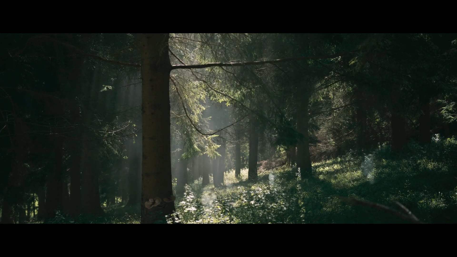 In the Earth Trailer (2021) Screen Capture #1
