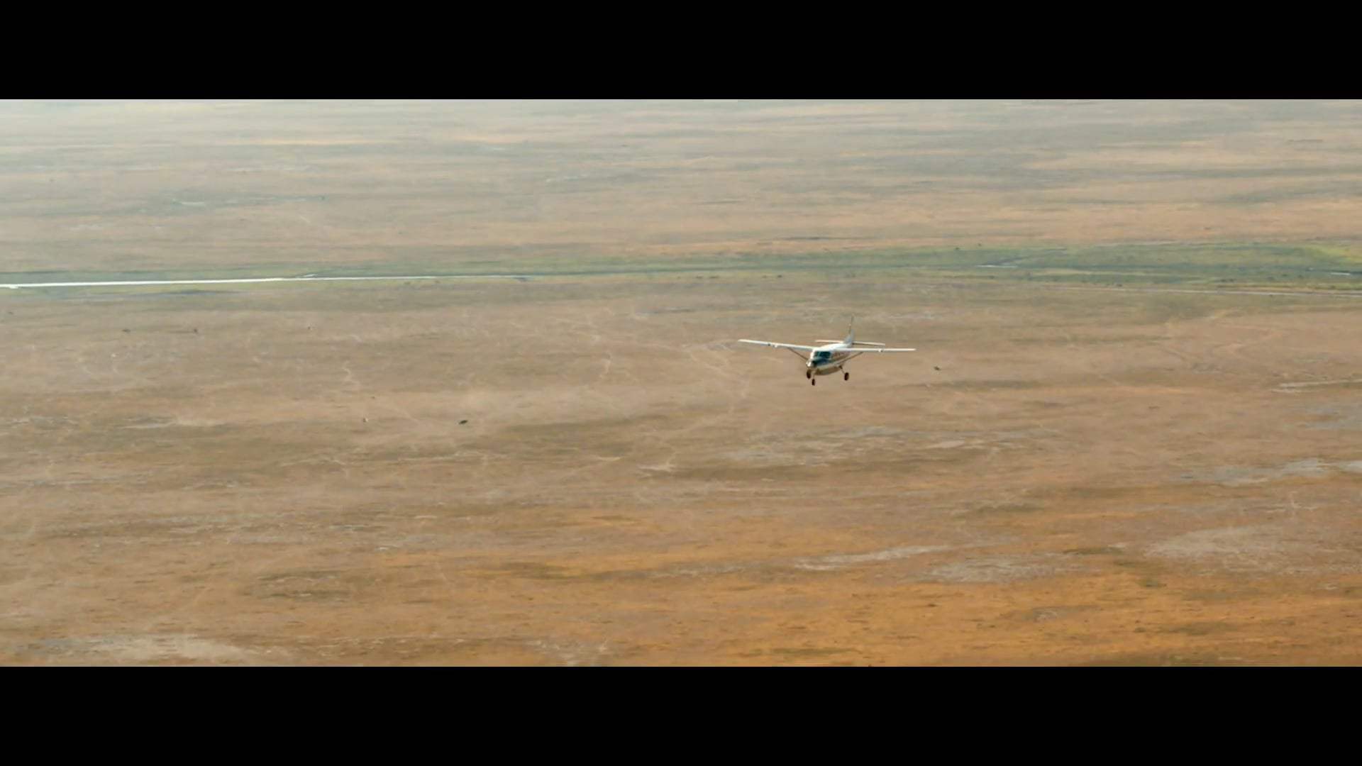 Endangered Species Trailer (2021) Screen Capture #1