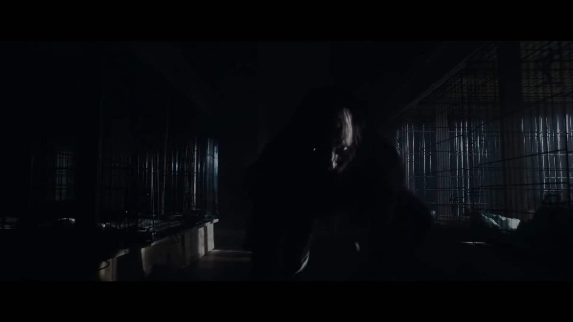 The Conjuring: The Devil Made Me Do It Trailer (2021) Screen Capture #3