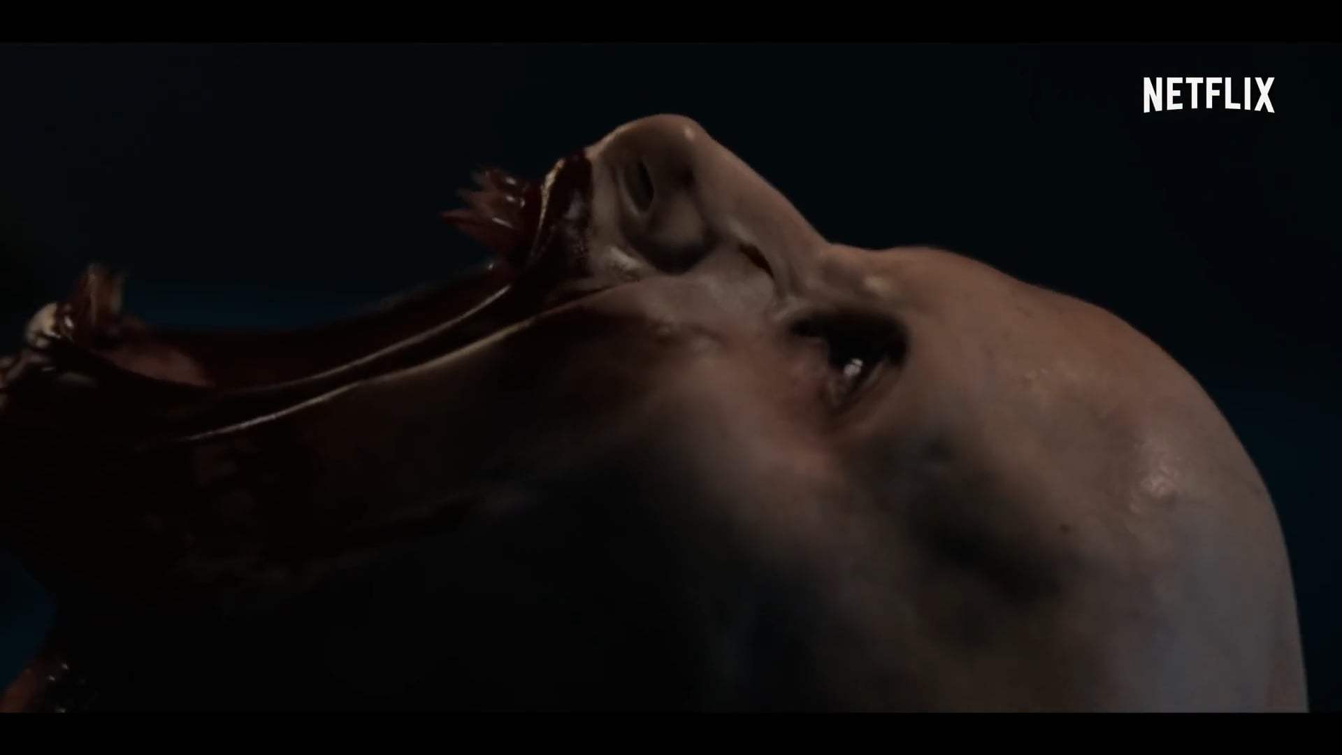Blood Red Sky Trailer (2021) Screen Capture #4